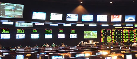 Betting at STN Sportsbook